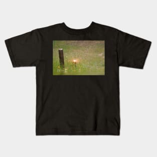 Lighting the Way Kids T-Shirt